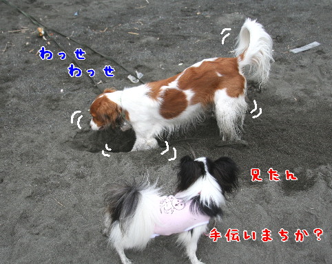 d0013149_21481399.jpg