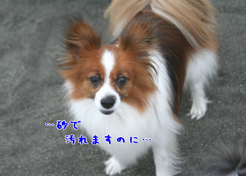 d0013149_21485441.jpg