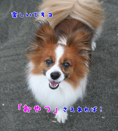 d0013149_21522493.jpg