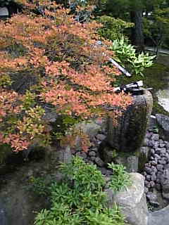 c0069552_9325527.jpg