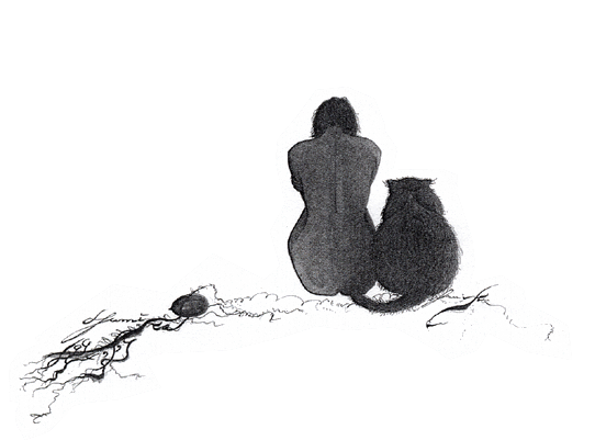 e0106153_22582322.gif