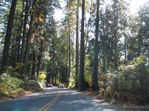 b0090654_23493864.jpg