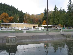 b0090654_23514026.jpg