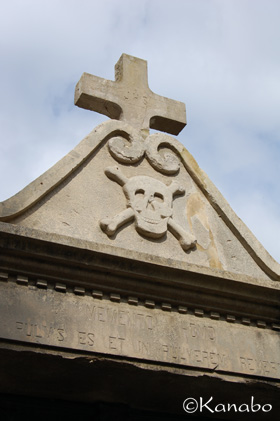 f0099556_1284635.jpg