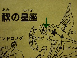 c0047860_0181923.jpg