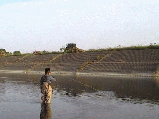 f0084561_11172720.gif