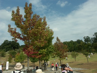 b0044663_16141114.jpg