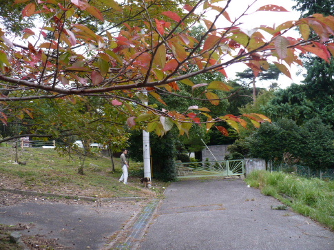 a0063364_2332156.jpg