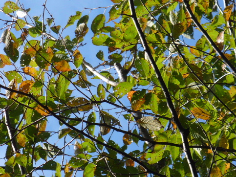 a0063364_2333409.jpg