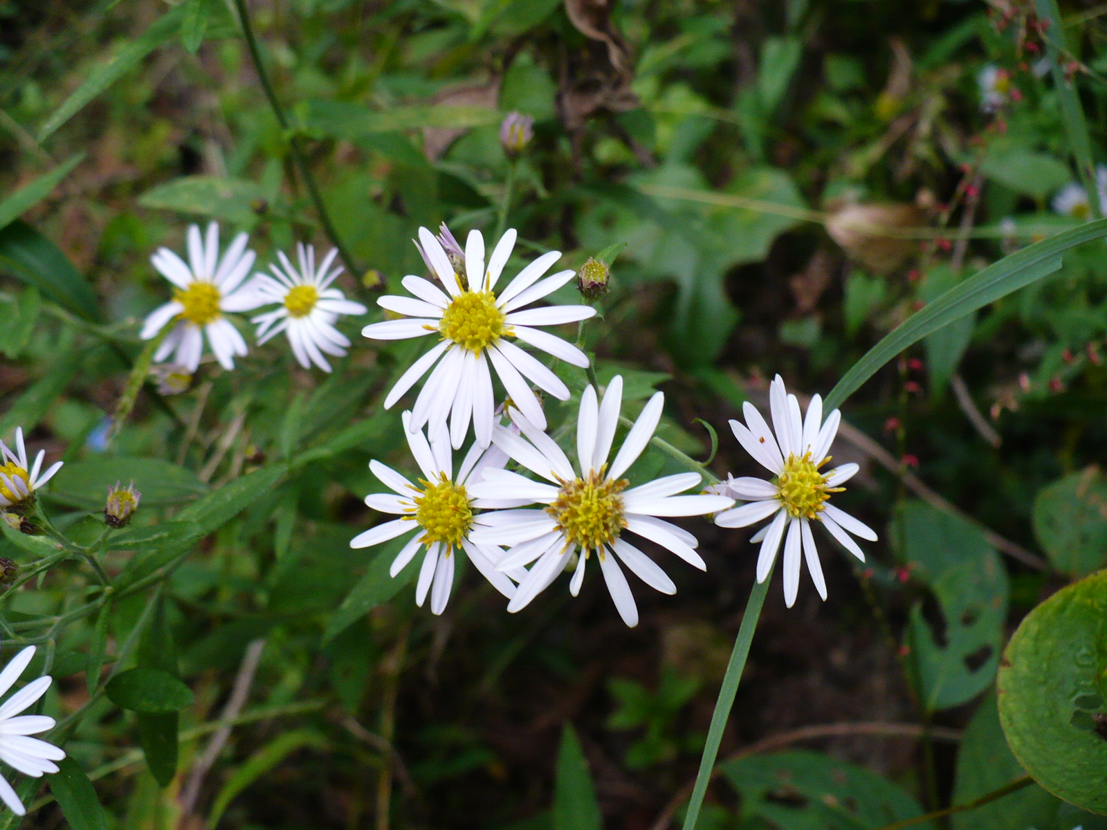 a0063364_23365795.jpg
