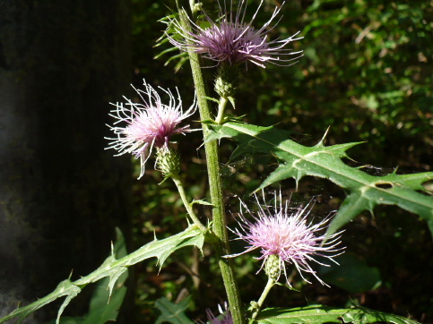 a0063364_2337486.jpg