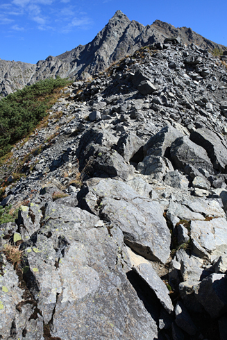 d0113164_23181595.jpg
