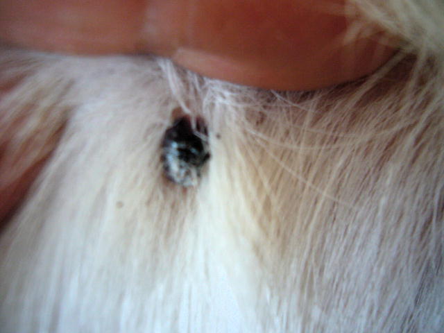 f0057565_1620389.jpg