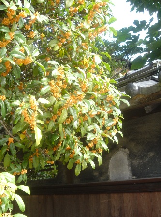 c0123668_1062415.jpg