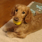 f0089568_21321717.jpg