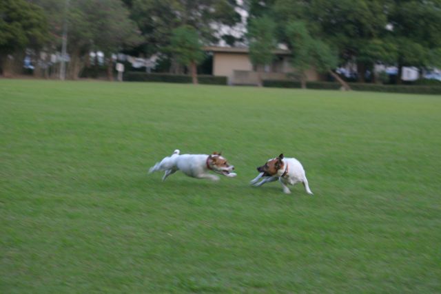 f0100871_2221409.jpg