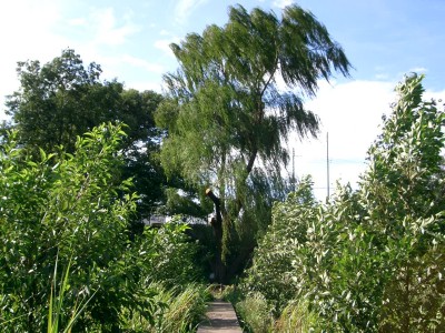 c0112172_1585146.jpg