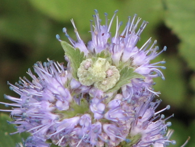 d0050472_1804544.jpg