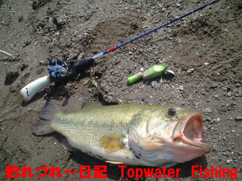 masaさん「釣れづれ～日記 Topwater　Fishing　Diary」