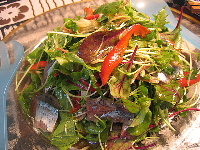 e0077373_18232456.jpg