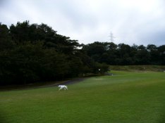 c0072379_22384667.jpg