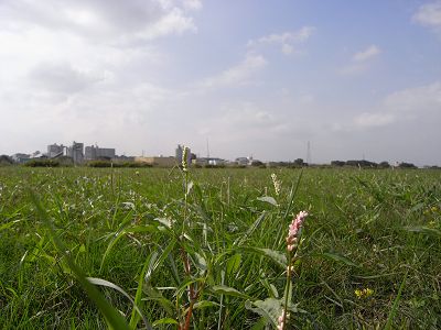 c0091679_11582946.jpg