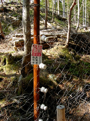 a0091680_8551674.jpg