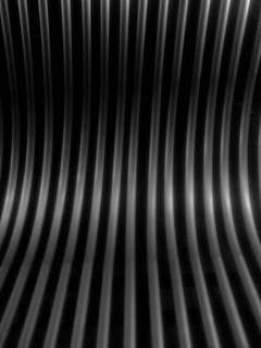 f0100480_19385362.jpg