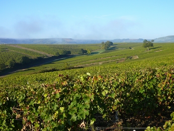 f0036481_59396.jpg