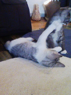 a0071783_0151279.jpg