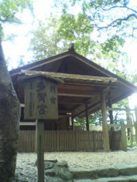f0008692_1661855.jpg
