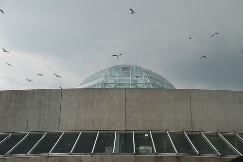 b0119493_21272268.jpg