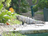 f0077097_11325939.jpg