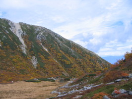 e0049598_117164.jpg