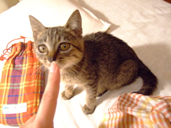 f0001698_030931.jpg