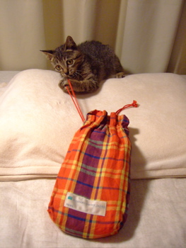 f0001698_0332976.jpg