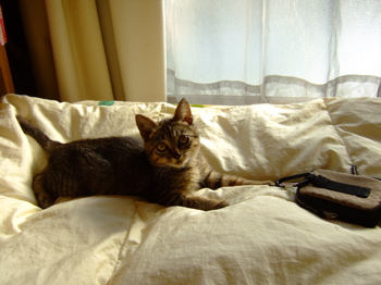f0001698_0355868.jpg