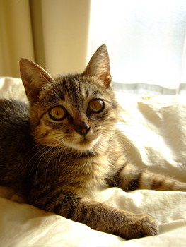 f0001698_0385672.jpg