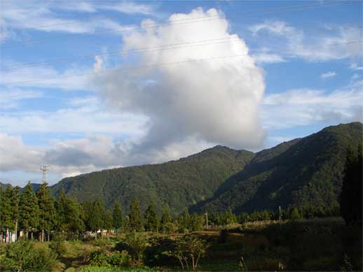 a0061599_7434428.jpg