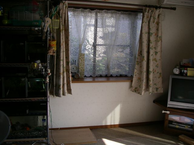 e0010301_1655945.jpg