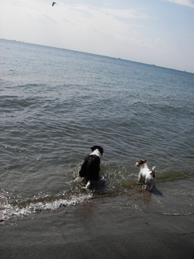 f0034602_1032447.jpg
