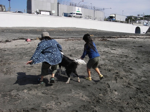 f0034602_1074358.jpg