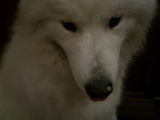 f0025103_149880.jpg