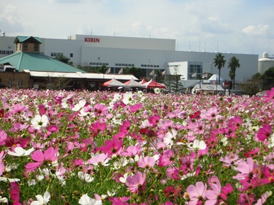 d0018704_9522968.jpg