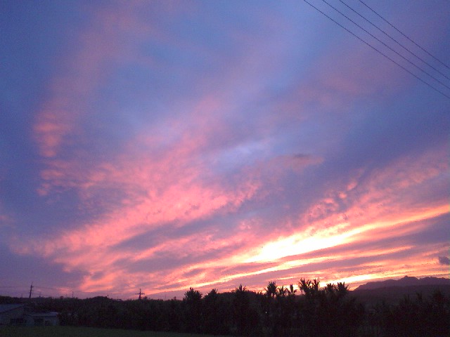 e0071811_22213481.jpg