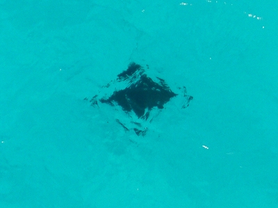 e0110113_0353884.jpg