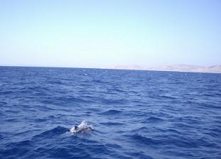 d0042214_048558.jpg