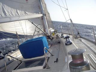 d0042214_7454560.jpg
