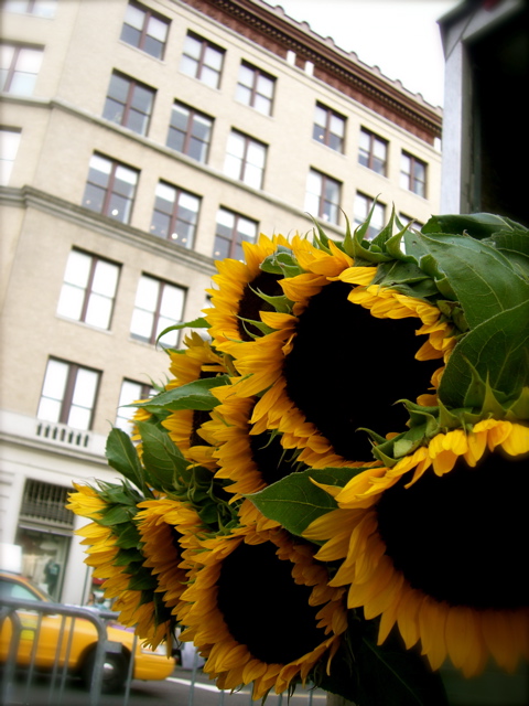 c0120817_242124.jpg