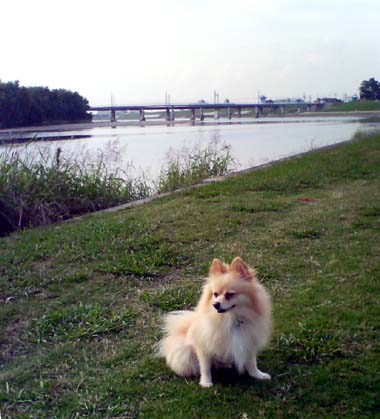 b0075318_20434586.jpg